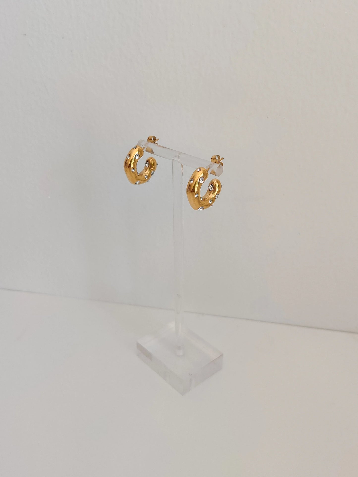 Lidya Shinny Hoops