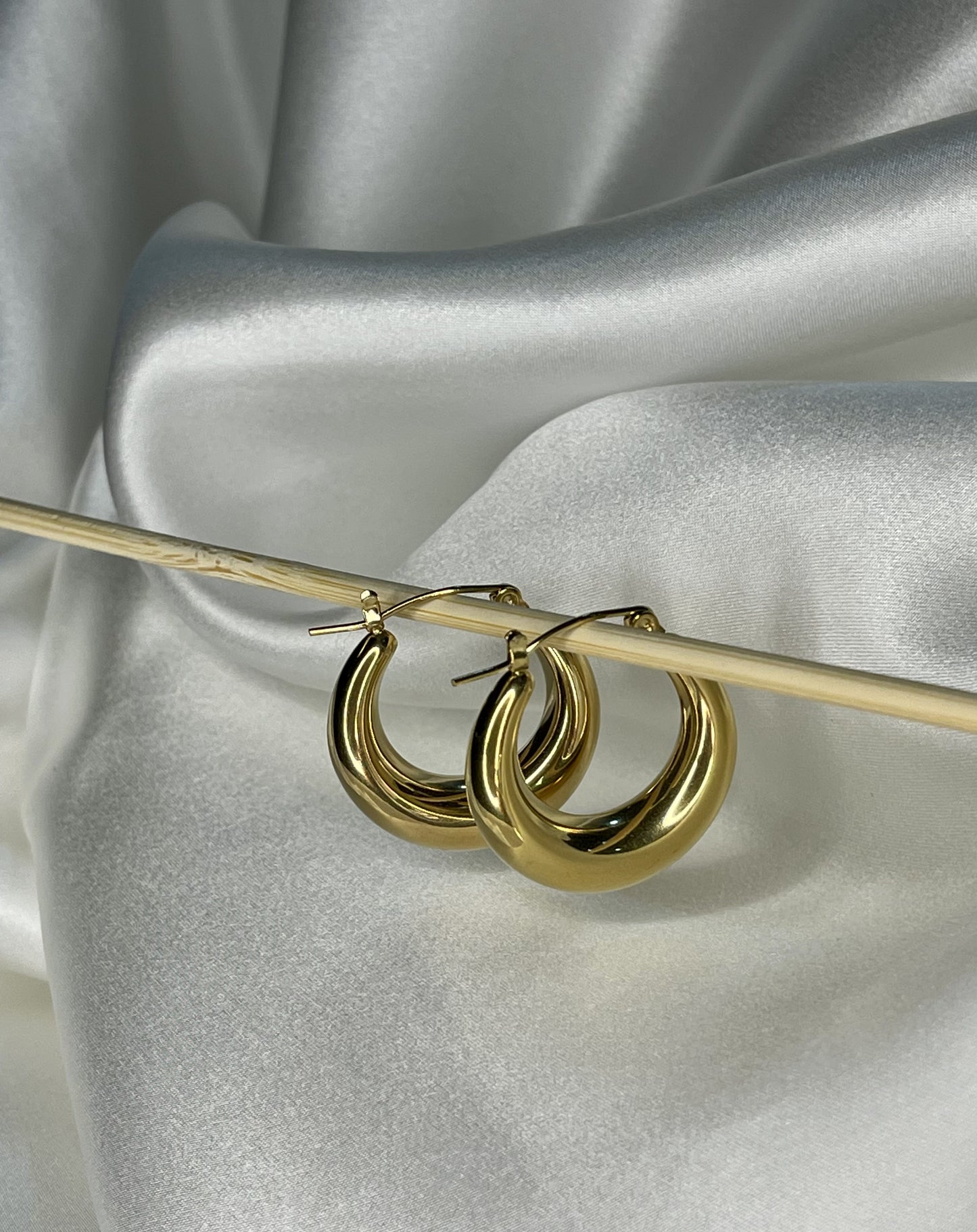 Lorena Hoops