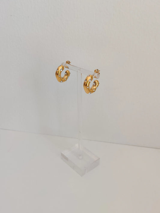 Lidya Shinny Hoops